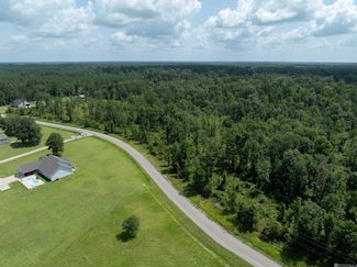 Lot 2-D Lost Oaks Ln, Livingston, LA 70754