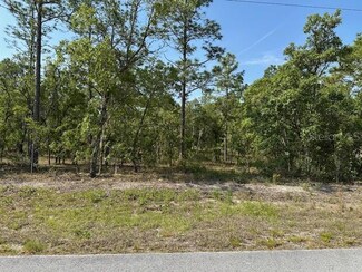 Lot 20 SW Anchor Blvd, Rainbow Lakes Estates, FL 34431