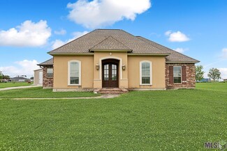 22678 Brookelyn Rd, Vacherie, LA 70090