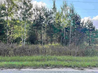 TBD Jordan Hills Dr Unit Parcel 5, Echo Township, MI 49727