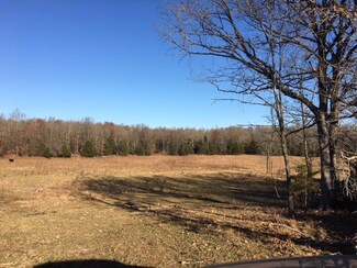 00 State Route Mm, Birch Tree, MO 65438