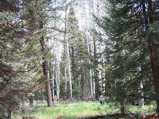 550 Snowshoe Ln, Cimarron, CO 81220