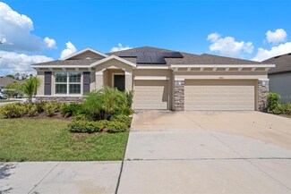 12451 Brick Cobblestone Dr, Riverview, FL 33579