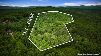 15.20 Piney Acres Rd, Blue Ridge, GA 30513