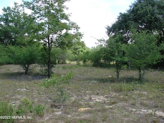TBD Chesser Monroe Rd, Hawthorne, FL 32640