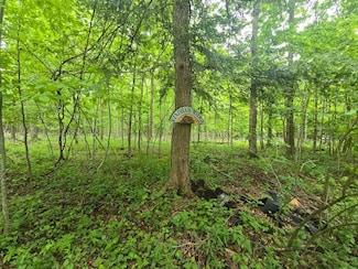 0WP Keller Rd (Rear), Cherry Valley, NY 13320
