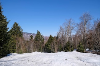 0 Turtle Hill Rd Unit 2 5032739, Ludlow, VT 05149