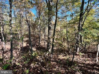 Lot 1 Anderson Rd, Schellsburg, PA 15559