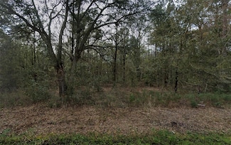 4775 Inez St, Hastings, FL 32145