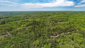 0 Seven Knobs Rd Unit RTC2511352, Gainesboro, TN 38562