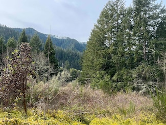 0 Hwy 138 W, Oakland, OR 97462