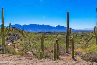 14124 N Tortolita Estates Dr, Oro Valley, AZ 85755