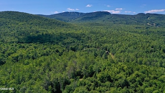 49 The Woods, North Creek, NY 12853