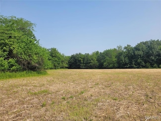 0 Highway 54 (6 2+ - Acres), Bowling Green, MO 63334