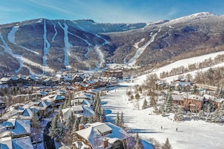 38 Inspiration Ln, Stowe, VT 05672