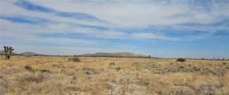 0 120th St E Avenue P-8 Unit SR25104008, Palmdale, CA 93591