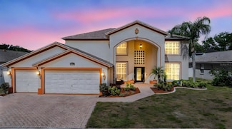 10003 Vista Pointe Dr, Tampa, FL 33635