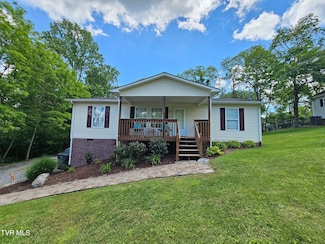 414 Wallace St, Bristol, TN 37620