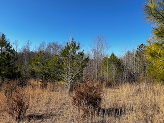 000 No Pone Valley Rd NW, Georgetown, TN 37336