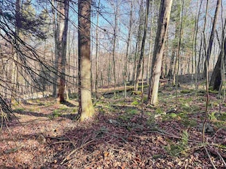 Lot 12 Whitewater Pkwy, Bruceton Mills, WV 26525