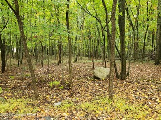 82 Wilson Ct, Saylorsburg, PA 18353