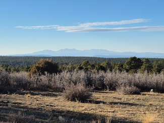 0 S Avalon Dr Unit 14, Norwood, CO 81423