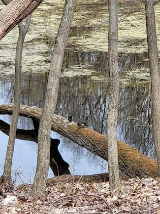 0000 Duana Dr, Milford, MI 48380