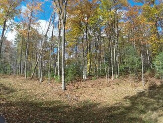 ON High Ridge Tr Unit LOT 9, Hazelhurst, WI 54531