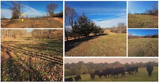 20.44 Acres Low Gap Rd, Pineville South Township, MO 64854