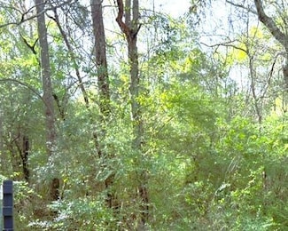 00 Moore Rd, Hattiesburg, MS 39401