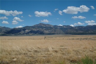 0 931 N Sawblade Cir Unit 2643432, Lund, NV 89317