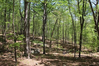 N Egypt Bend Rd Unit LotWP001, Luray, VA 22835