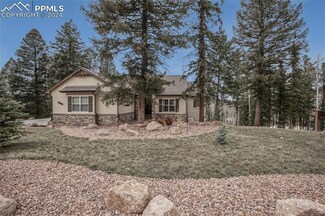 3329 Regent Dr, Woodland Park, CO 80863