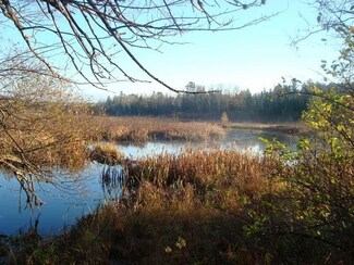 Lot 2 Lower Kaubashine Rd, Hazelhurst, WI 54531