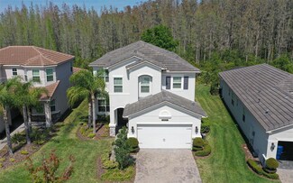 31030 Lindentree Dr, Wesley Chapel, FL 33543