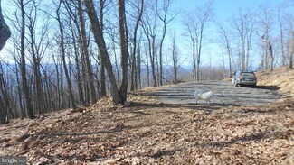 Lot 255 S Branch Mountain Rd, Moorefield, WV 26836