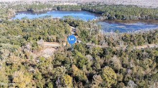 7 Springtime St, Wewahitchka, FL 32465