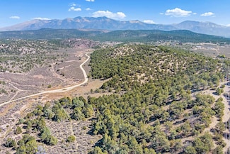 TBD Trementina Trail, Arroyo Hondo, NM 87513