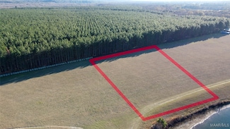 TBD Highway 85, Daleville, AL 36351