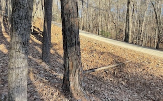 L2458 Montage Dr, Ellijay, GA 30540