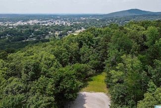 0 Rebecca Trail Unit 6.07 ac 21420735, Anniston, AL 36207