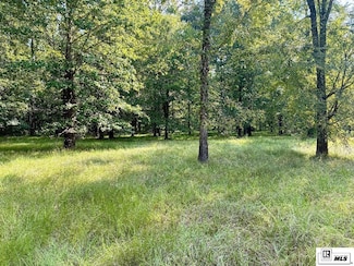 00 Loch Lomond Dr, Farmerville, LA 71241