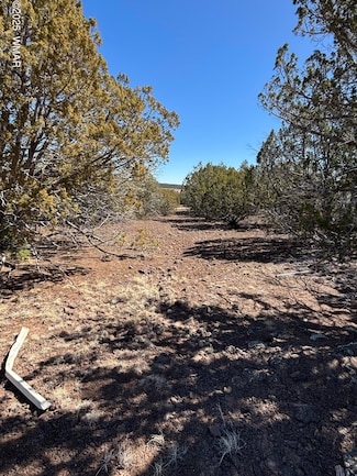 0 107-10-334 Unit 255002, Concho, AZ 85924