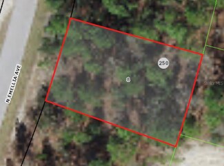 9819 N Emellia Ave, Citrus Springs, FL 34433