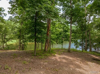 463 Foxfire Crossing Dr, Innsbrook, MO 63390