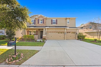 20119 Oakflower Ave, Tampa, FL 33647