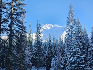 0 Everitt Memorial Hwy, Mount Shasta, CA 96067