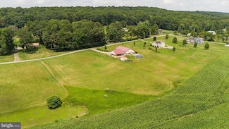 LOT ON Dry Hollow Rd, Warriors Mark, PA 16877