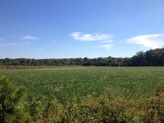 000 Peeler Rd, Dexter, KY 42036