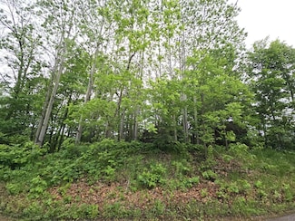 9492 N Shore Trail, Forest Lake, MN 55025